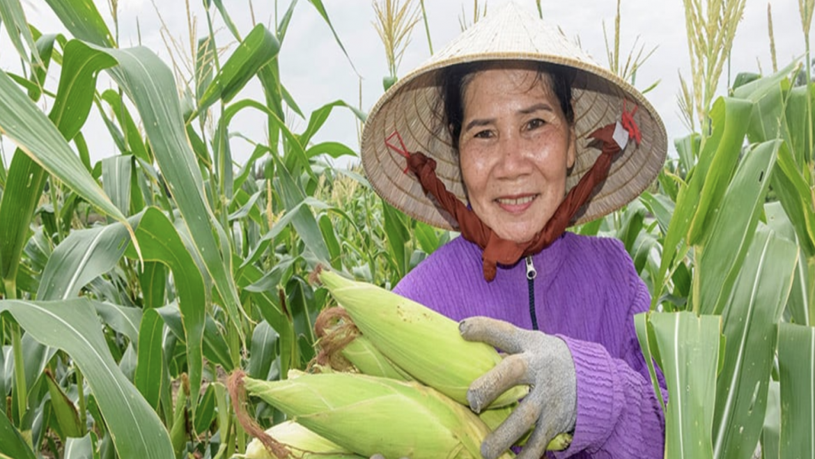 Nguyen Viet Khai – Reverdecimiento de tierras salinas, desarrollo de una acuicultura sostenible